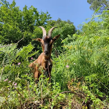 Vale Da Misarela * Geres