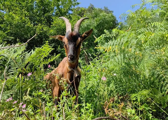Vale Da Misarela * Geres